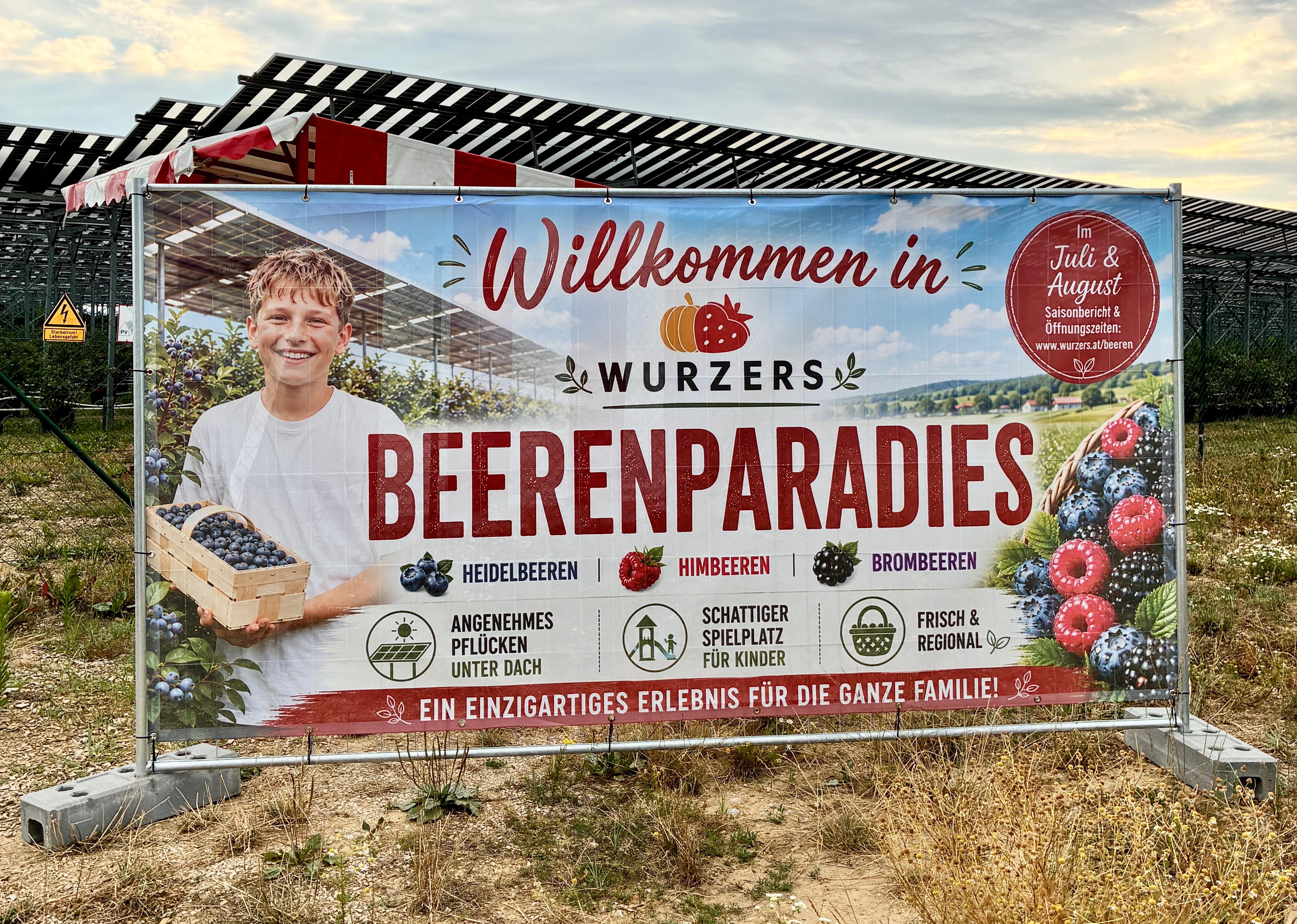 Ausflug mit Kindern - Alter der Kinder: 4 bis 6 Jahre - Schallaburg - Wurzers Beerenparadies