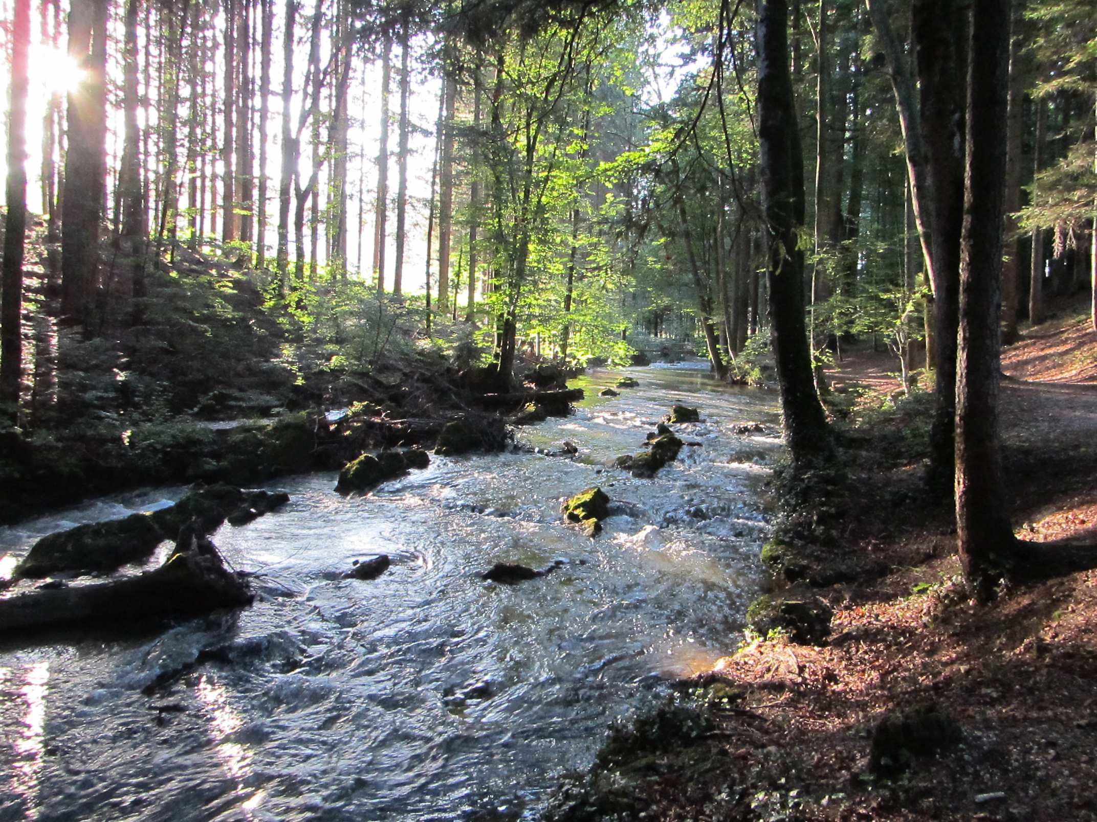 Ausflug mit Kindern - Ausflugsziel ist: ein Naturerlebnis - Scheffau am Tennengebirge - Wanderung auf dem Helenenweg 