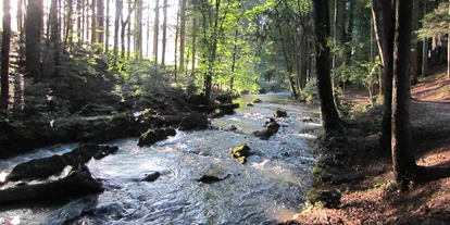 Voyage avec des enfants - Sankt Konrad - Wanderung auf dem Helenenweg