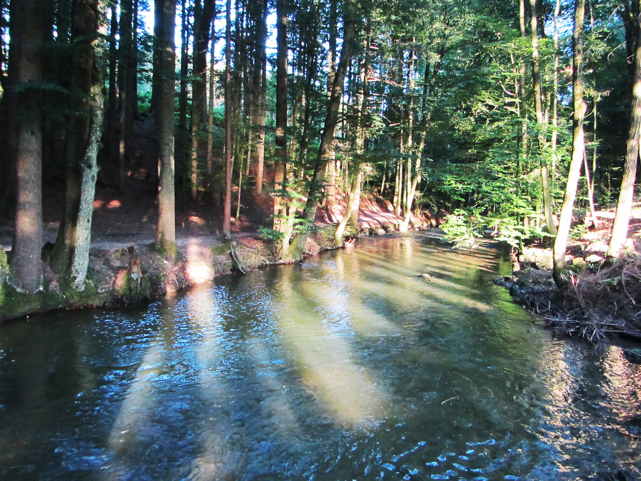 Ausflugsziel: Wanderung auf dem Helenenweg 