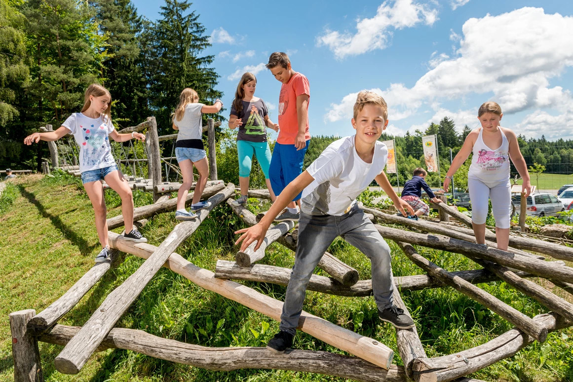 Ausflugsziel: BÄRENWALD Arbesbach