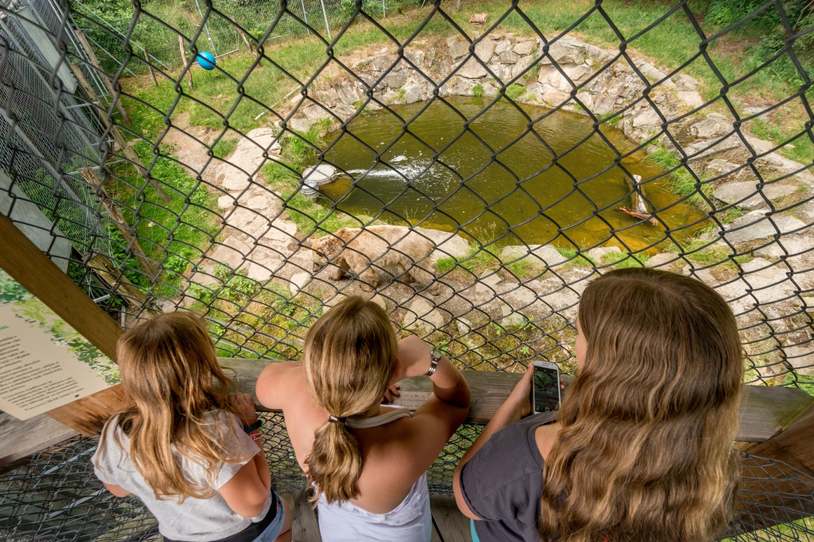 Ausflugsziel: BÄRENWALD Arbesbach