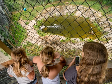 Ausflugsziel: BÄRENWALD Arbesbach