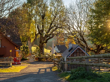 Ausflugsziel: Erlebnisrestaurant Waldegg mit Spielplatz
