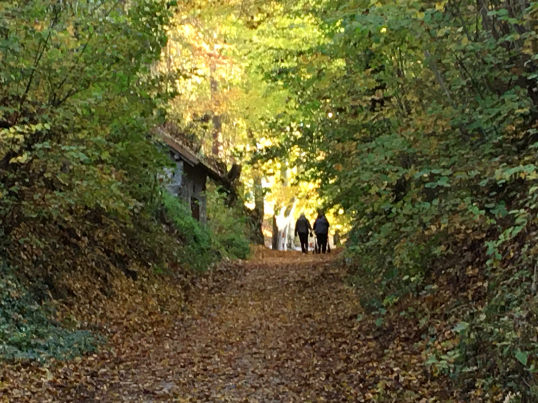 Ausflugsziel: Abendstimmung - Kellergröppe mit Biersandkellermuseum