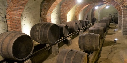 Viaggio con bambini - Kleinzell im Mühlkreis - Kellergröppe mit Biersandkellermuseum