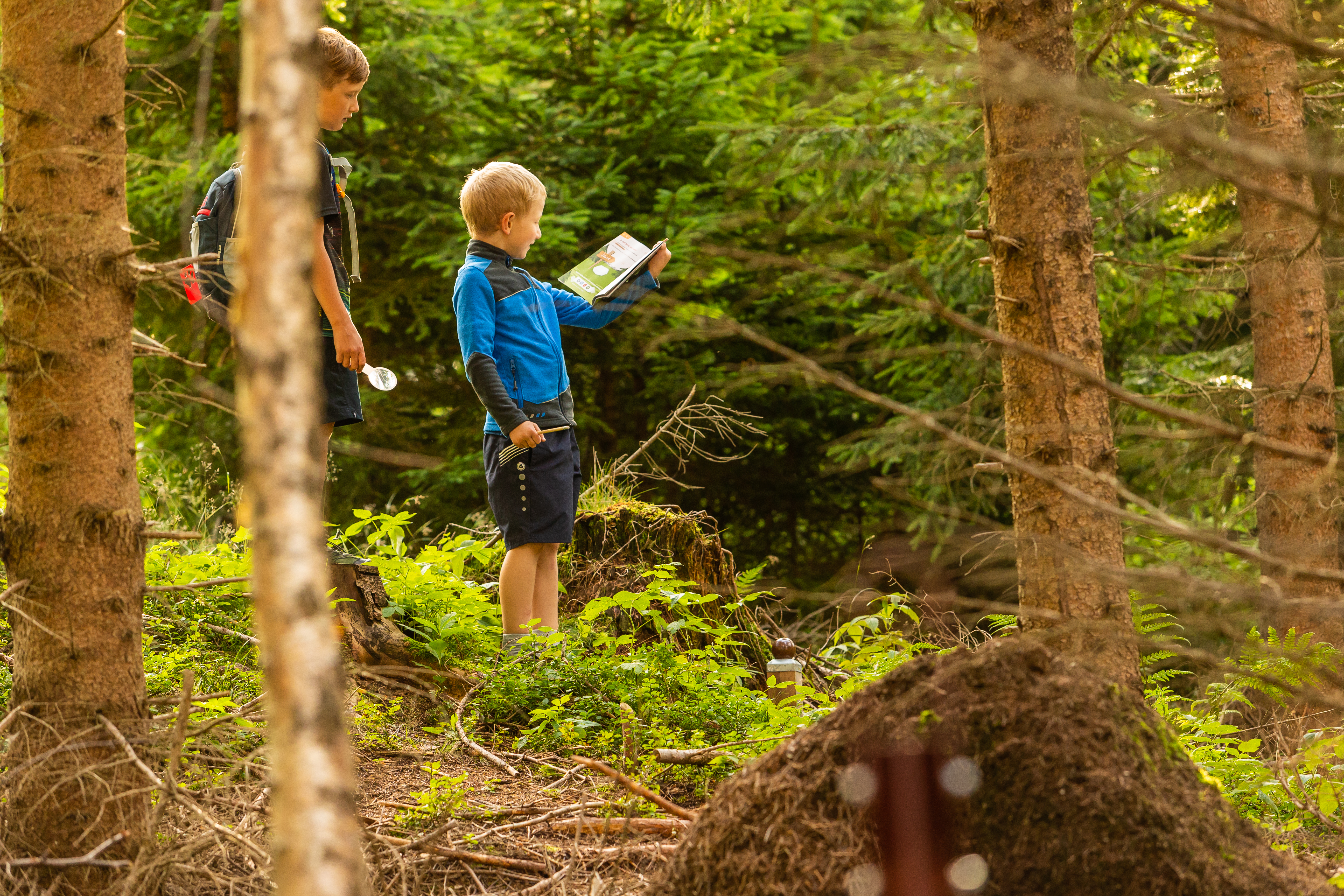 Ausflugsziel: Wexl Arena St. Corona am Wechsel