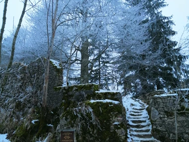 Ausflugsziel: Burgruine Wartenfels