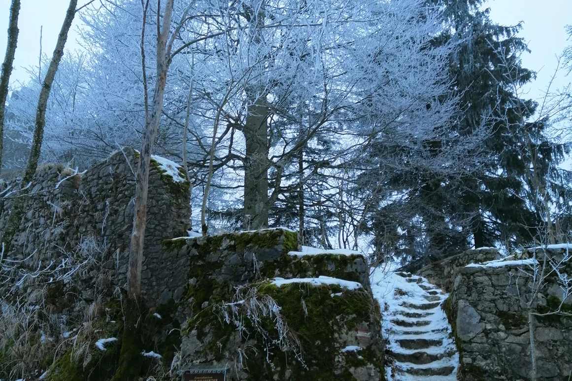 Ausflugsziel: Burgruine Wartenfels