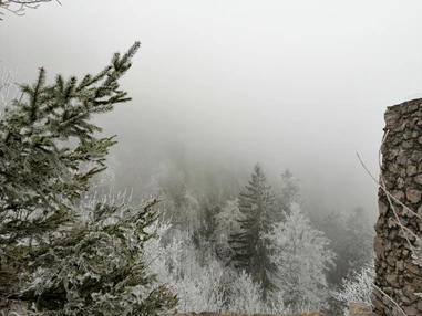 Ausflugsziel: Burgruine Wartenfels