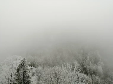 Ausflugsziel: Burgruine Wartenfels