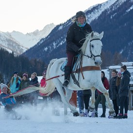 Ausflugsziel: Schlittenkjöring - Reitschule Davos