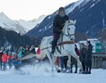 Ausflugsziel: Schlittenkjöring - Reitschule Davos