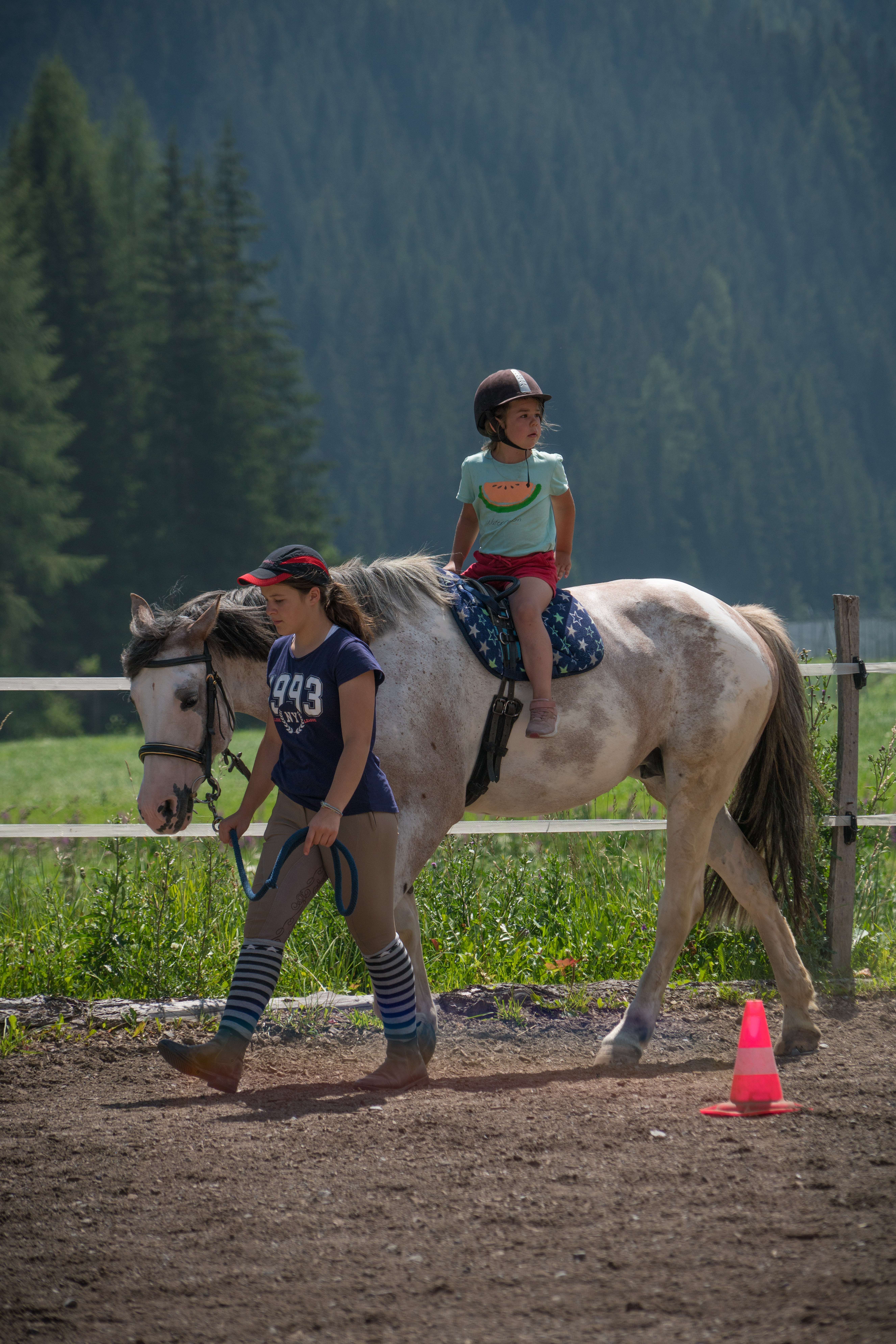 Ausflugsziel: Reitschule Davos