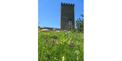 Ausflug mit Kindern - PLZ 7447 (Schweiz) - Torre Belvedere - Naturzentrum Torre Belvedere