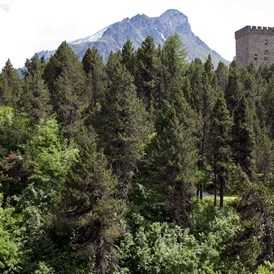 Ausflugsziel: Pro Natura - Naturzentrum Torre Belvedere