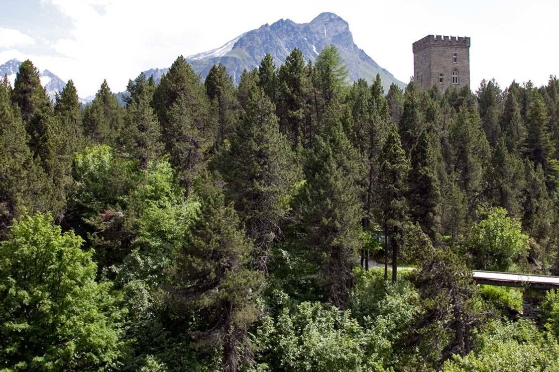 Ausflugsziel: Pro Natura - Naturzentrum Torre Belvedere