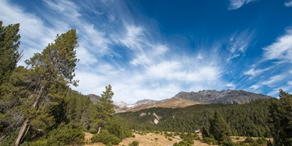 Voyage avec des enfants - Küblis - Nationalparkzentrum Zernez