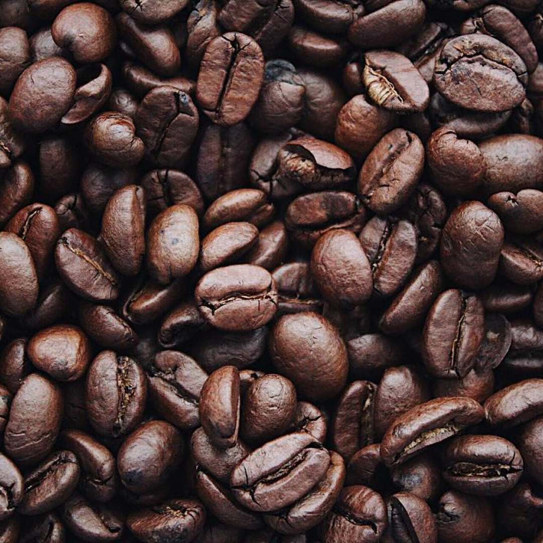 Reis met kinderen - Alter der Kinder: 4 bis 6 Jahre - Savognin - Kaffee-Museum Caferama