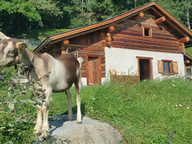 Ausflugsziel: Heididorf Maienfeld