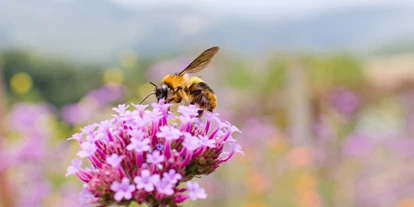 Reis met kinderen - Davos Dorf - Symbolbild für Ausflugsziel Biosfera Val Müstair. Keine korrekte oder ähnlich Darstellung! - Biosfera Val Müstair