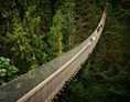 Ausflugsziel: Hängebrücke aus Lärchenholz