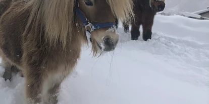Ausflug mit Kindern - Sarn - mypony