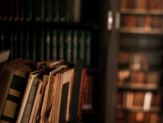 Ausflugsziel: Biblioteca La Plaiv