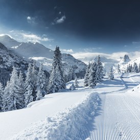 Ausflugsziel: Winterwandern - Bergbahn Vals-Gadastatt