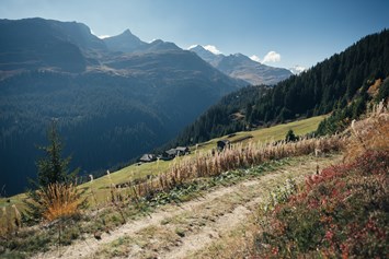 Ausflugsziel: Sommerwandern - Bergbahn Vals-Gadastatt
