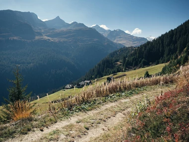 Ausflugsziel: Sommerwandern - Bergbahn Vals-Gadastatt