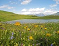 Ausflugsziel: Blumenwiese am Bergsee - Naturpark Beverin