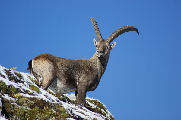 Ausflugsziel: Naturpark Beverin