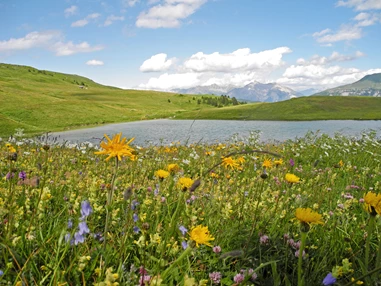 Ausflugsziel: Naturpark Beverin