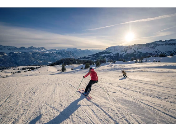 Ausflugsziel: Skispass am Flumserberg - Wintersportgebiet Flumserberg