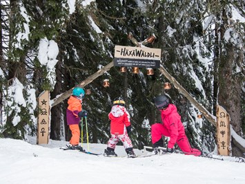 Wintersportgebiet Flumserberg Highlights beim Ausflugsziel Erlebnispiste HäxäWäldli