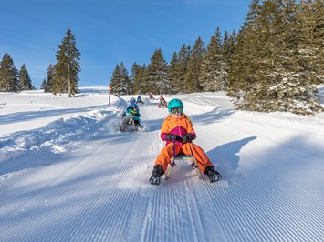Wintersportgebiet Flumserberg Highlights beim Ausflugsziel Schlittelpiste Prodalp-Tannenheim