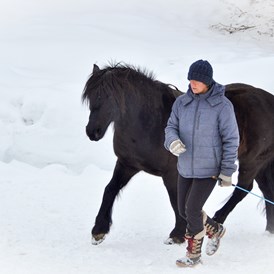 Ausflugsziel: Der Winter hat zum reiten auch seine Schönheit - Stalla Chapella / Bogenparcours Engadin