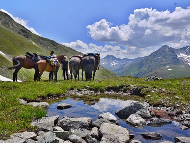 Ausflugsziel: Pause auf einem langen Ritt - Stalla Chapella / Bogenparcours Engadin
