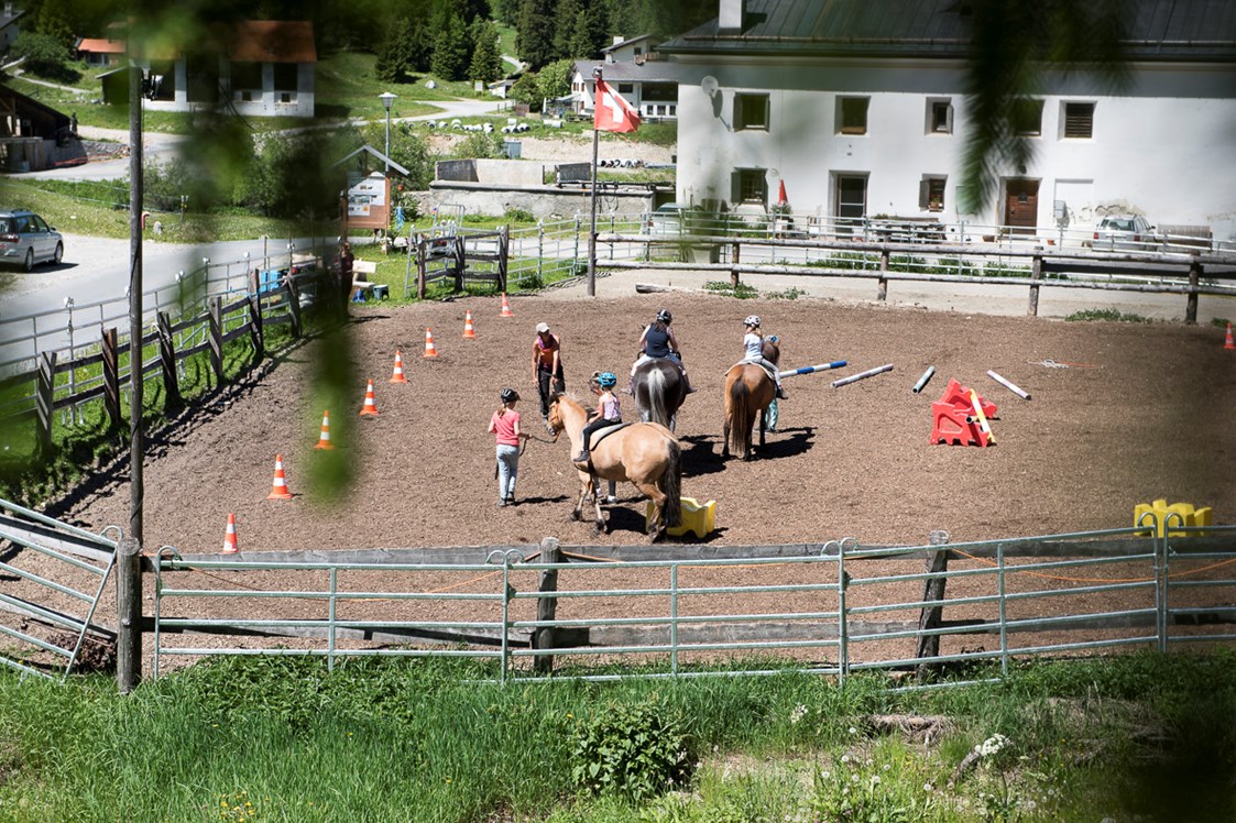 Ausflugsziel: Erlebnis Pferde Halbtage - Stalla Chapella / Bogenparcours Engadin