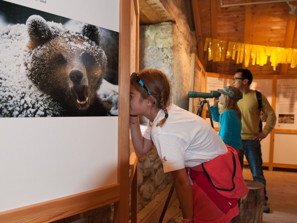 Ausflugsziel: Bärenausstellung S-charl