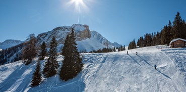 Ausflug mit Kindern - Themenschwerpunkt: Bewegung - Tschiertschen - Skigebiet Tschiertschen