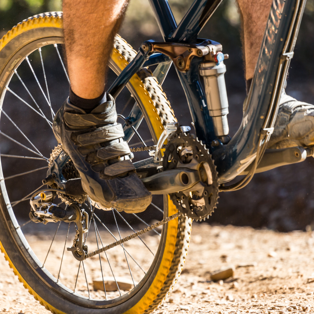 Bikepark Am See | Ausflugsziel-Tipp In Walenstadt, Graubünden