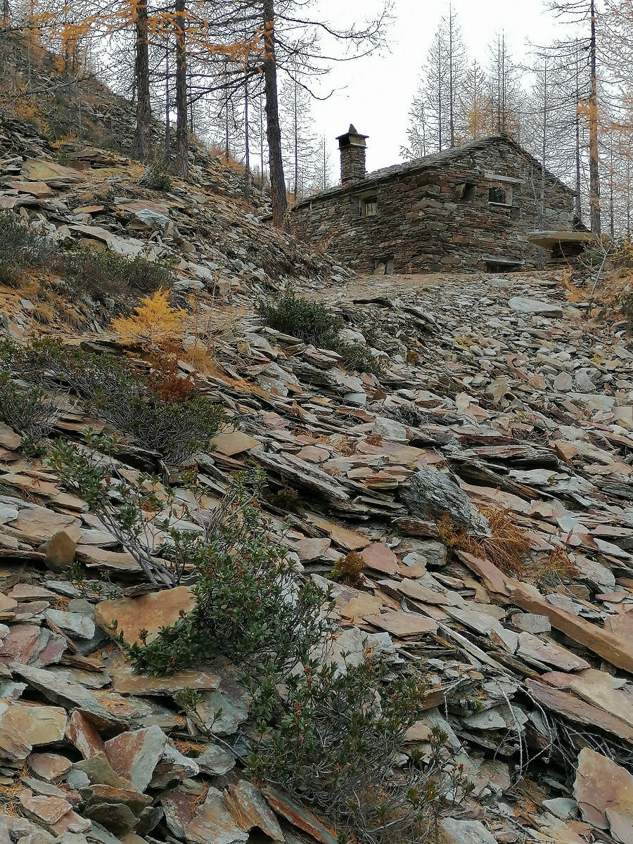 Ausflugsziel: Museum Cheva Plattas da Fex