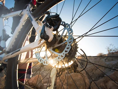 Ausflugsziel: Alpenbikepark Chur