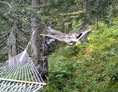 Ausflugsziel: Hängemattenwald - Heidipfad