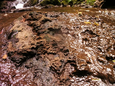 Ausflugsziel: GeoTour Calw