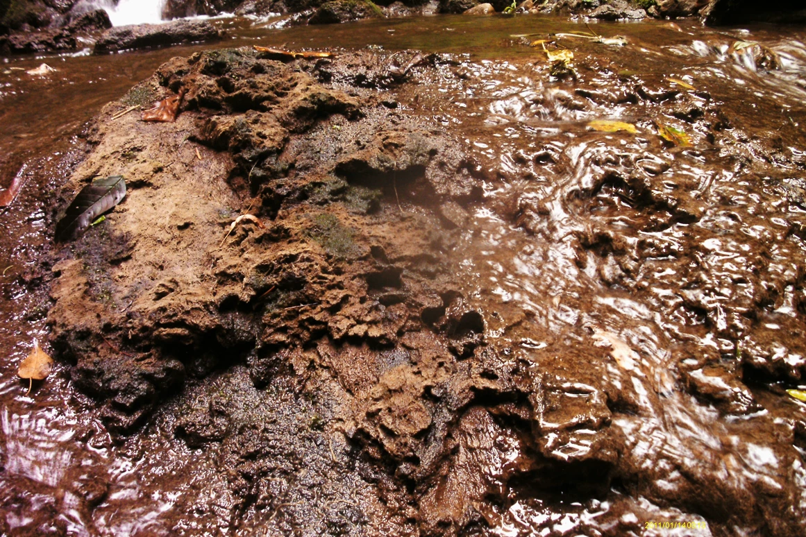 Ausflugsziel: GeoTour Calw