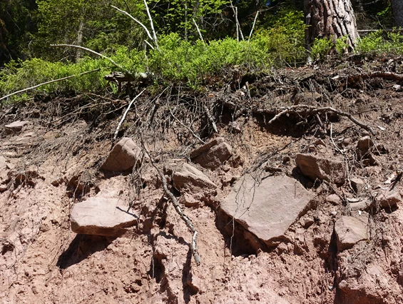 Ausflugsziel: GeoTour Calw