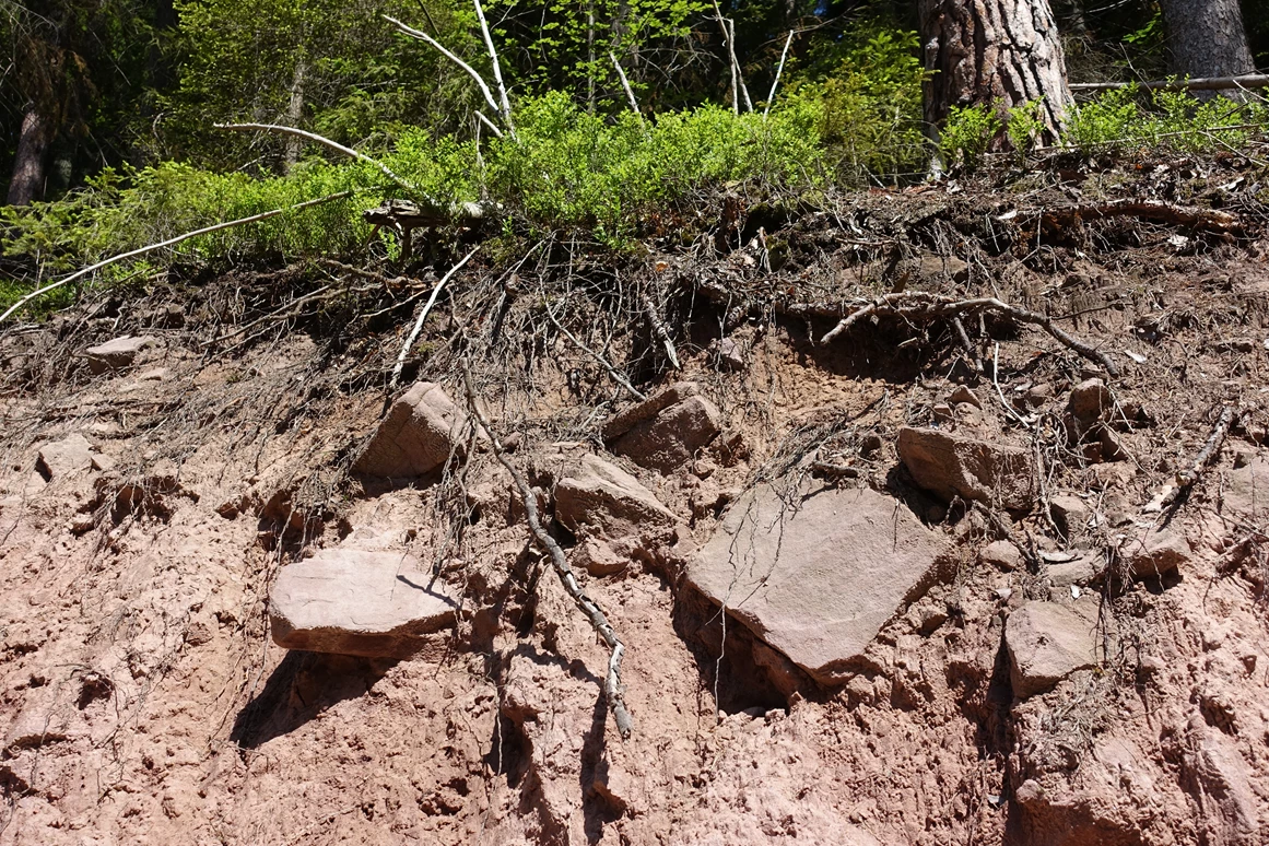 Ausflugsziel: GeoTour Calw